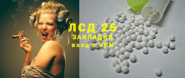 гидра Горнозаводск