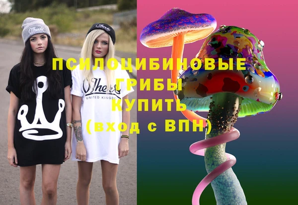 прущий лед Горно-Алтайск