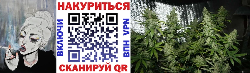 где можно купить   Хабаровск  kraken tor  Бошки марихуана Bruce Banner 